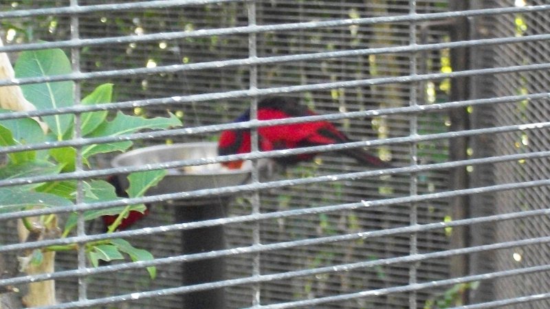 100_0881.JPG