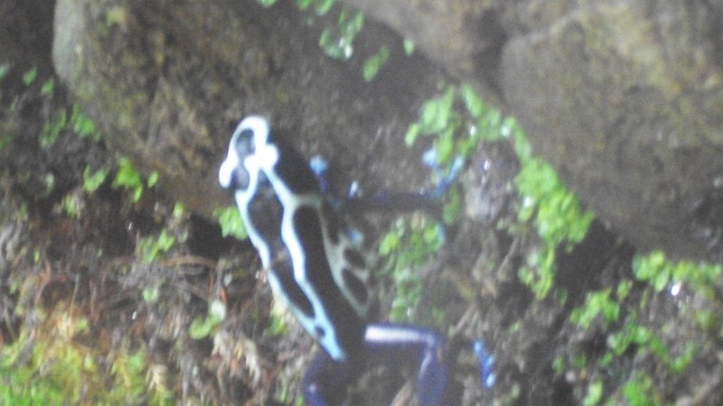 100_1024.JPG
