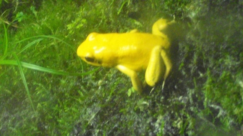 100_1026.JPG