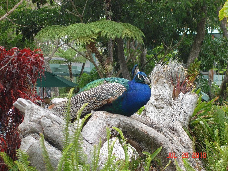 DSC04401.JPG