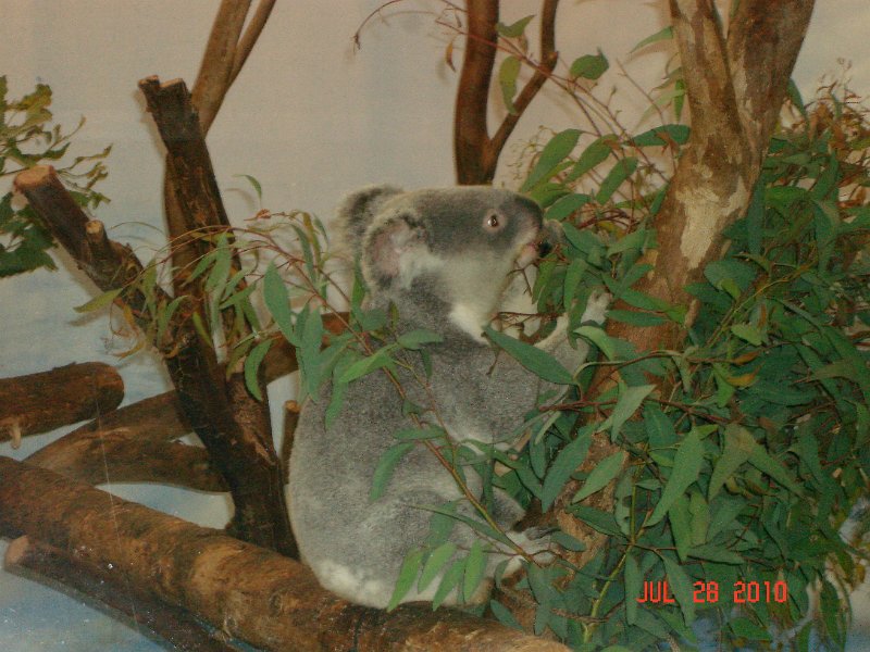 DSC04414.JPG