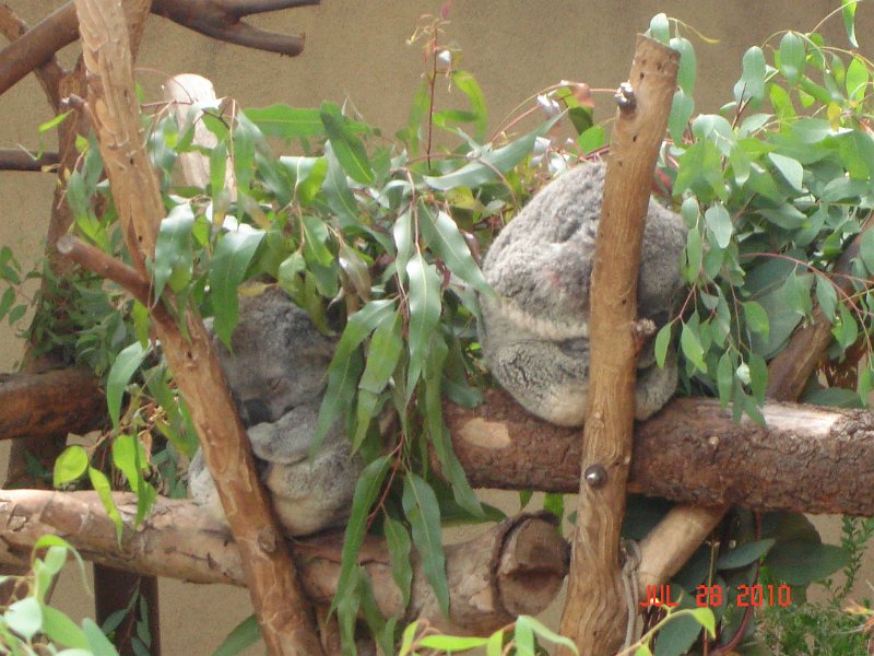 DSC04418.JPG