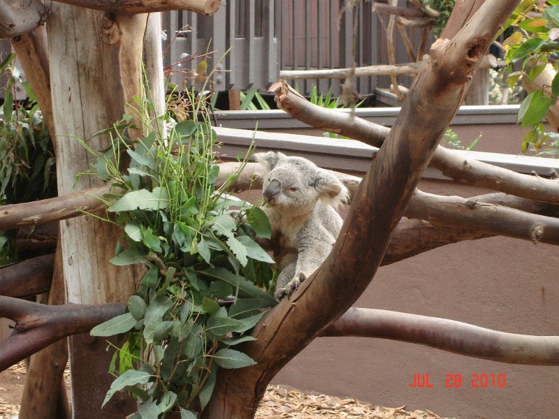 DSC04423.JPG