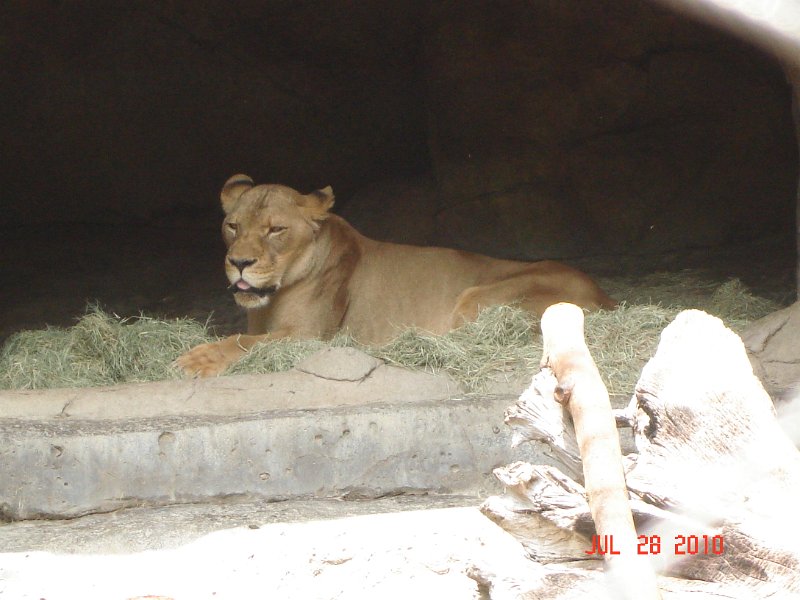DSC04425.JPG