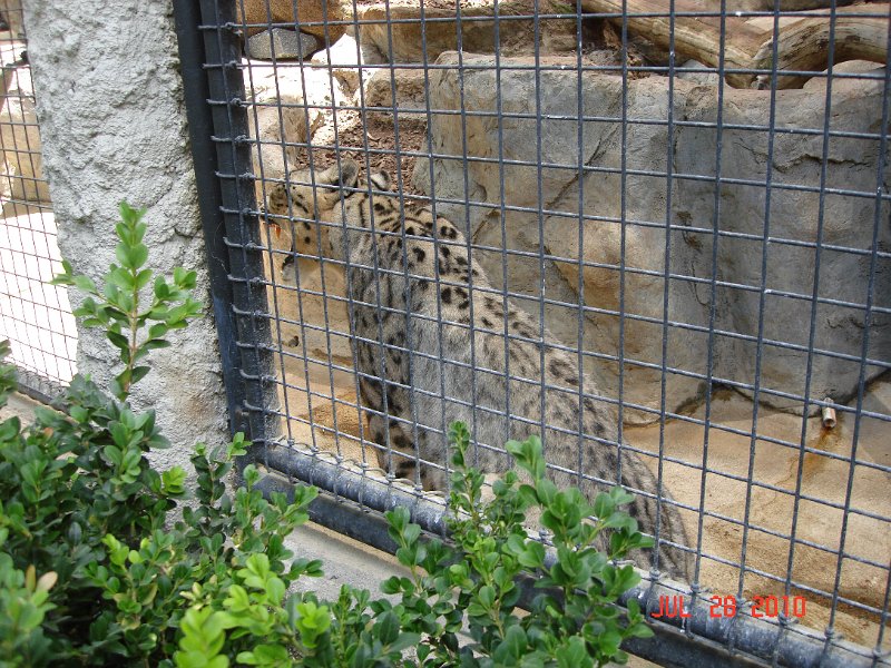 DSC04444.JPG