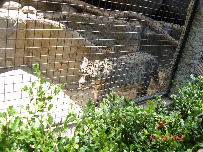 DSC04445.JPG