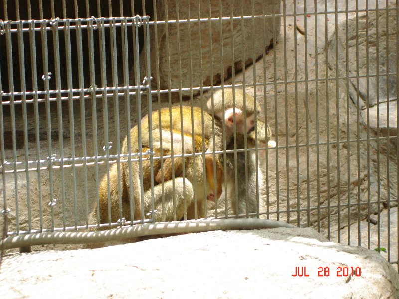 DSC04452.JPG