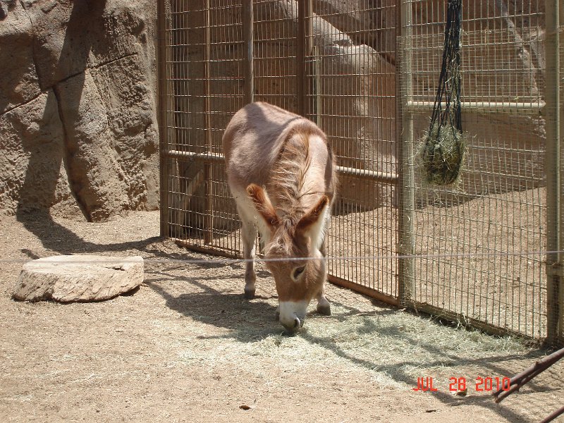 DSC04466.JPG