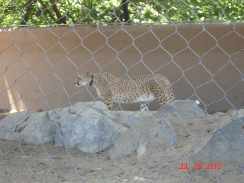 DSC04469.JPG