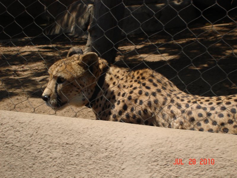 DSC04470.JPG