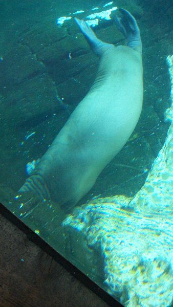 100_0996.JPG