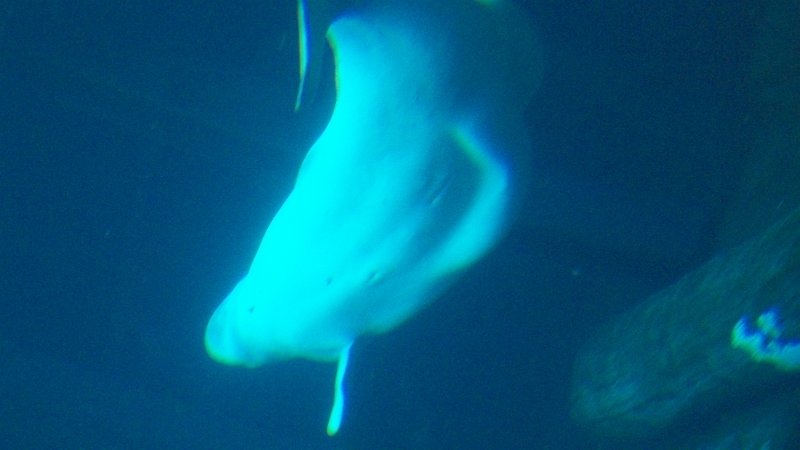 100_1002.JPG