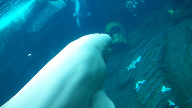 100_1006.JPG