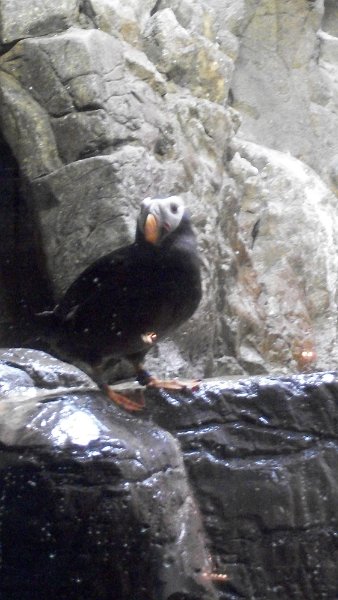 100_1016.JPG