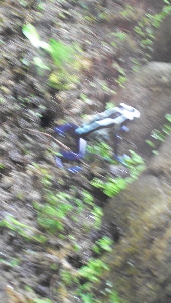 100_1023.JPG
