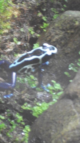 100_1024.JPG
