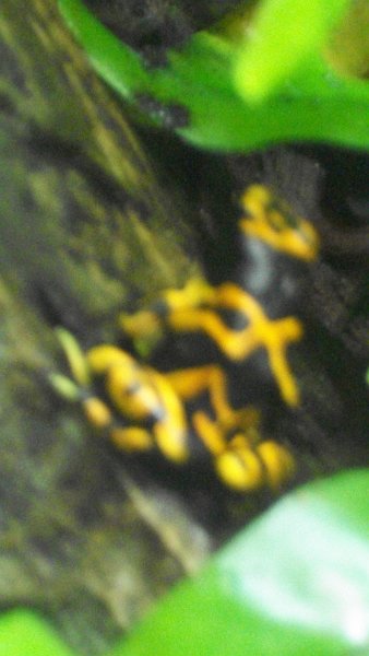 100_1025.JPG