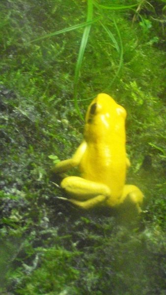 100_1026.JPG