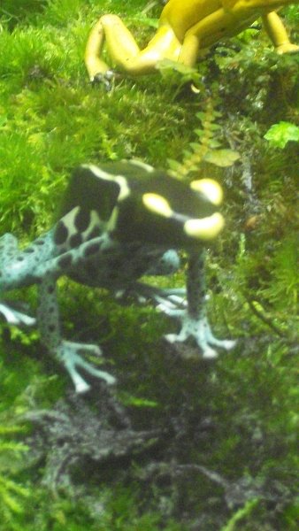 100_1028.JPG