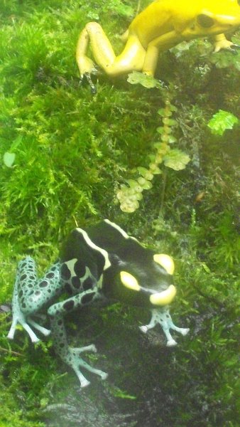 100_1029.JPG