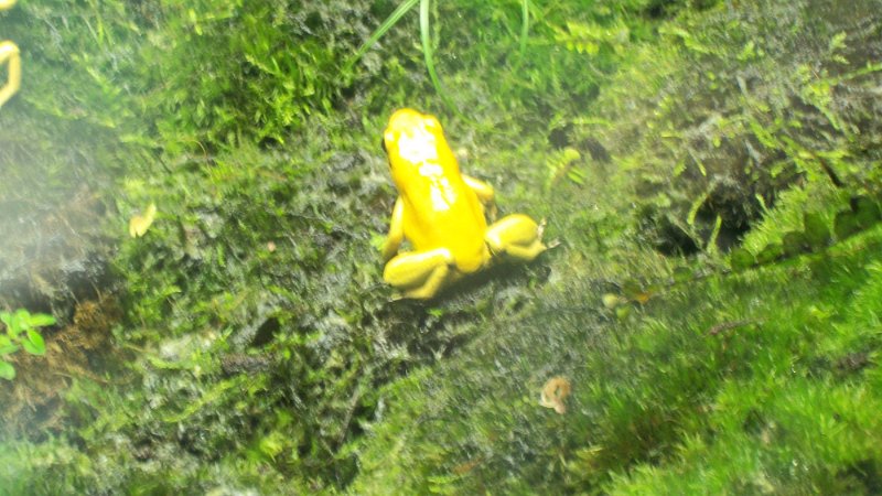 100_1030.JPG