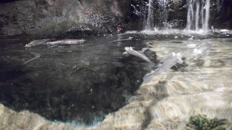 100_1110.JPG