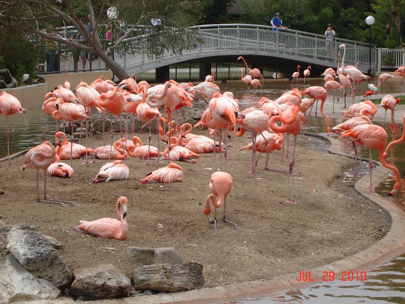 DSC04486.JPG
