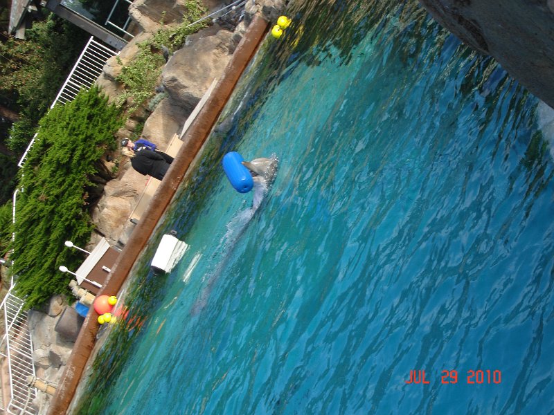 DSC04678.JPG