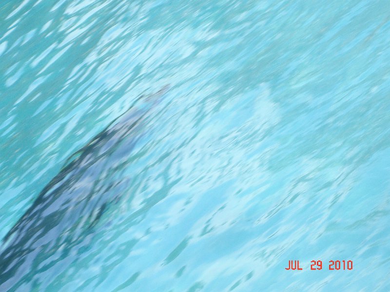 DSC04683.JPG