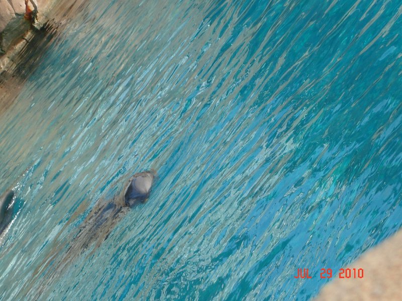 DSC04685.JPG