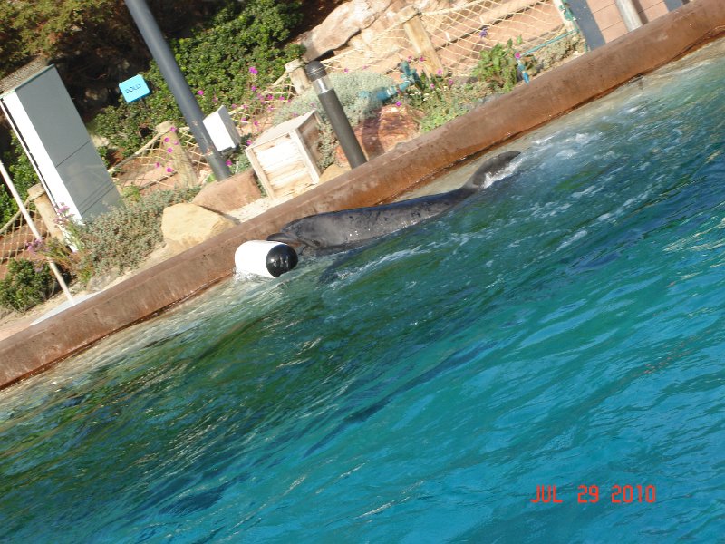 DSC04695.JPG