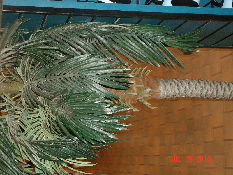 DSC04702.JPG