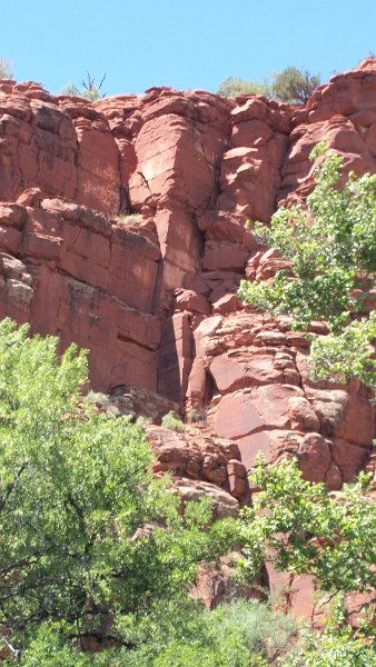 100_1170.JPG