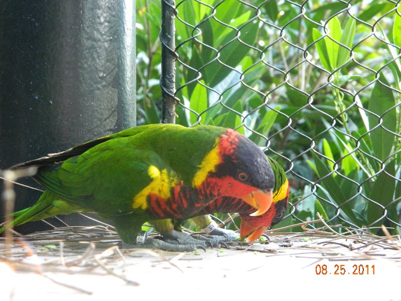 DSCN0772.JPG