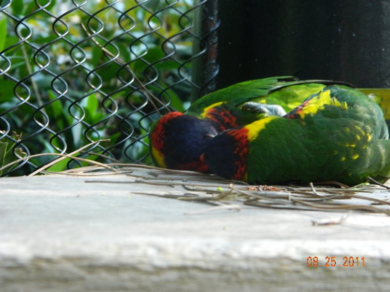 DSCN0775.JPG