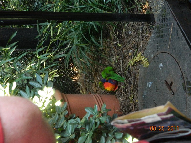 DSCN0779.JPG