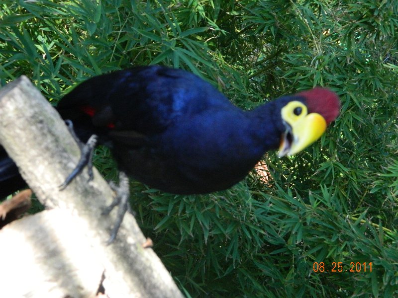 DSCN0789.JPG