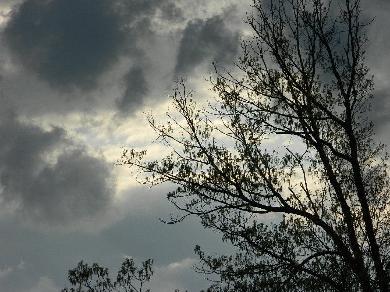 DSCN0128.JPG