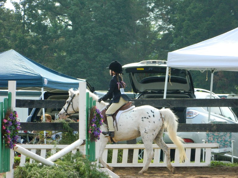 DSCN0202.JPG