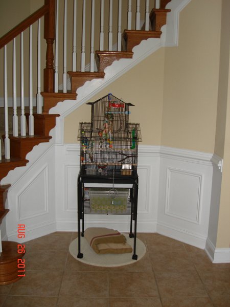 DSC05608.JPG - Kims Bird