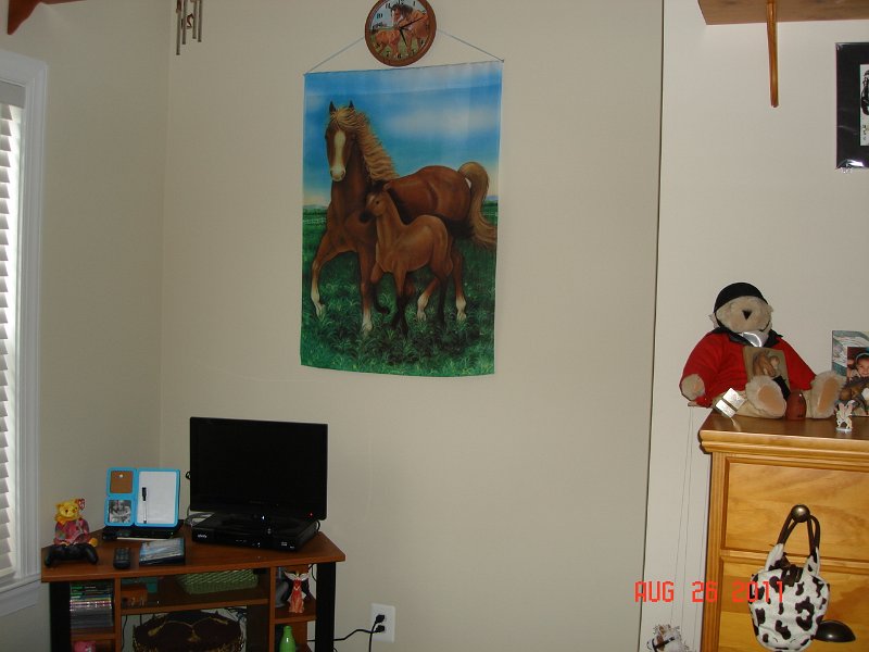 DSC05652.JPG - Jillians Room