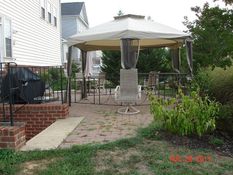 DSC05703.JPG - Backyard