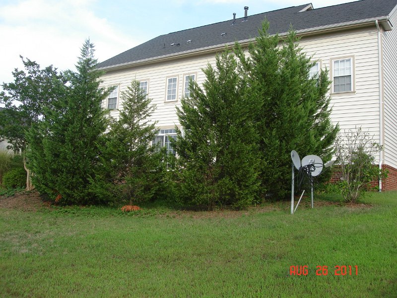 DSC05706.JPG - Backyard