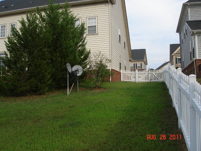 DSC05707.JPG - Backyard