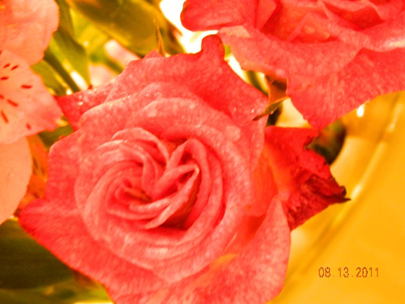 DSCN0670.JPG