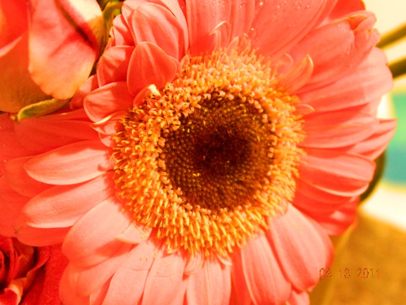 DSCN0671.JPG