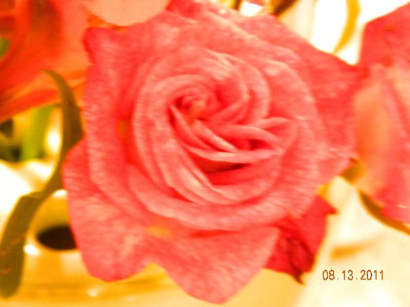 DSCN0672.JPG
