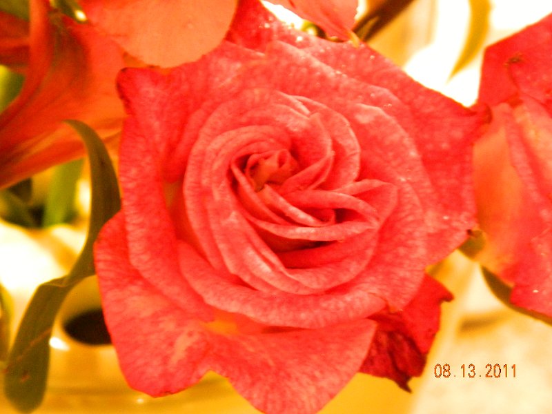 DSCN0673.JPG