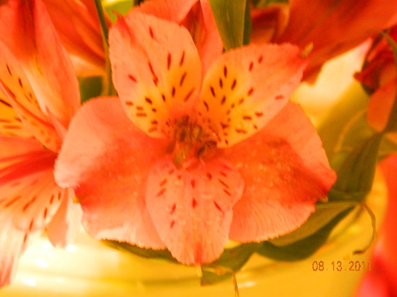 DSCN0674.JPG