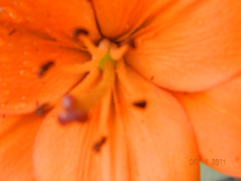 DSCN0675.JPG